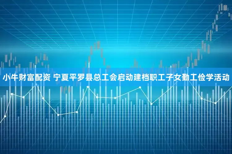 小牛财富配资 宁夏平罗县总工会启动建档职工子女勤工俭学活动