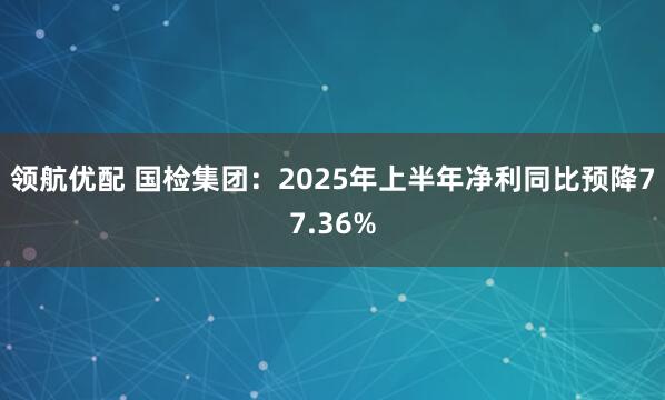 领航优配 国检集团：2025年上半年净利同比预降77.36%