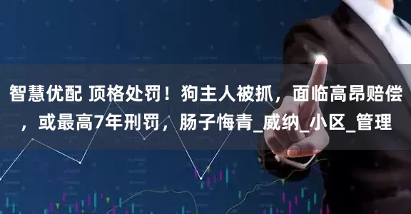 智慧优配 顶格处罚！狗主人被抓，面临高昂赔偿，或最高7年刑罚，肠子悔青_威纳_小区_管理