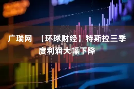 广瑞网  【环球财经】特斯拉三季度利润大幅下降