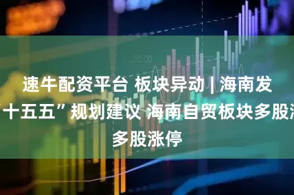 速牛配资平台 板块异动 | 海南发布“十五五”规划建议 海南自贸板块多股涨停